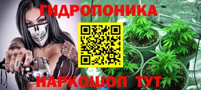 шишки Малоярославец