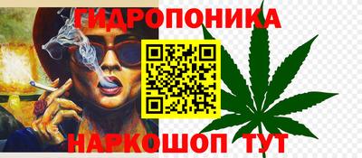 шишки Малоярославец