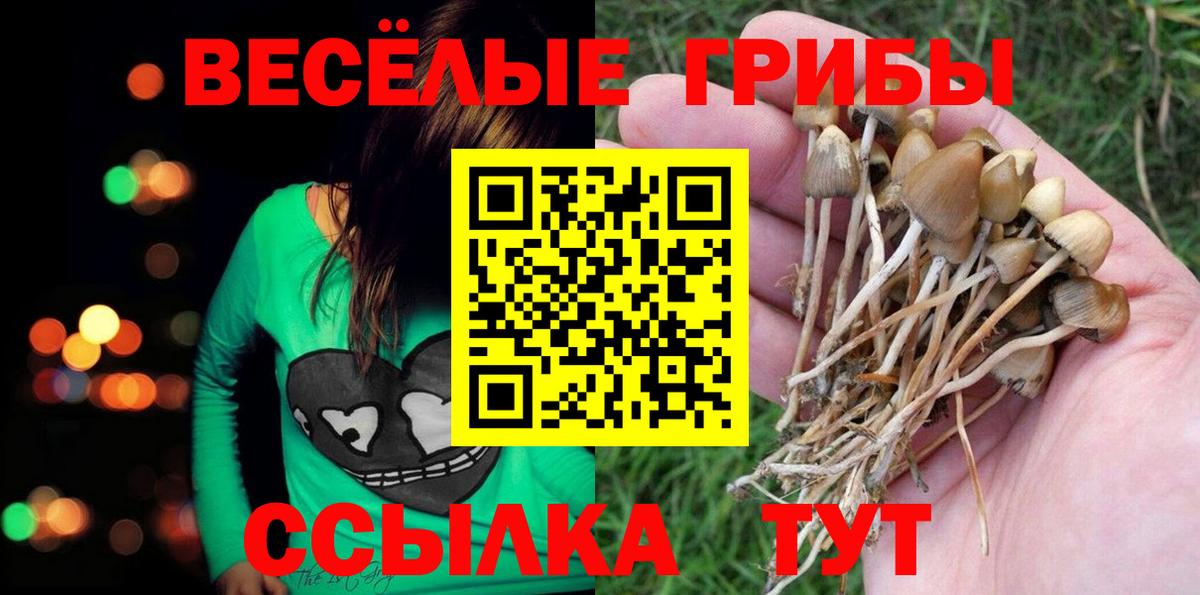 Галлюциногенные грибы ЛСД  Вход с VPN  Чехов 